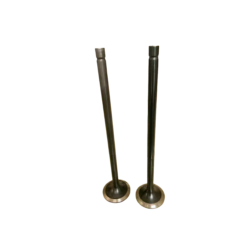 MAN B&W intake valve